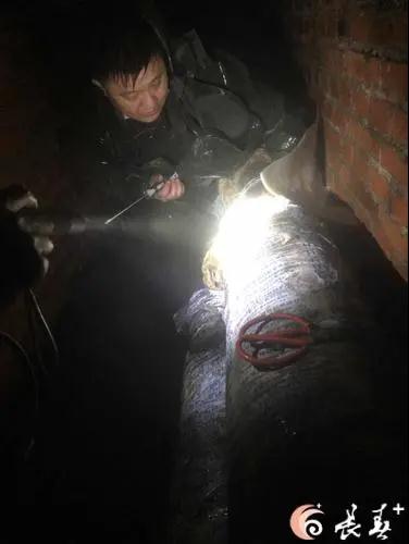 立博·英国(ladbrokes)集团官方网站